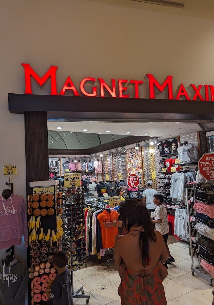 Magnet Maximus: Discovering the Allure of Unique Magnets in Every Shape and Size