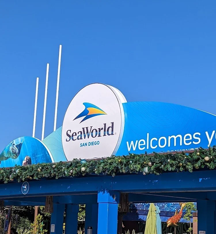SeaWorld San Diego: Family Aquatic Adventure — photograph 23