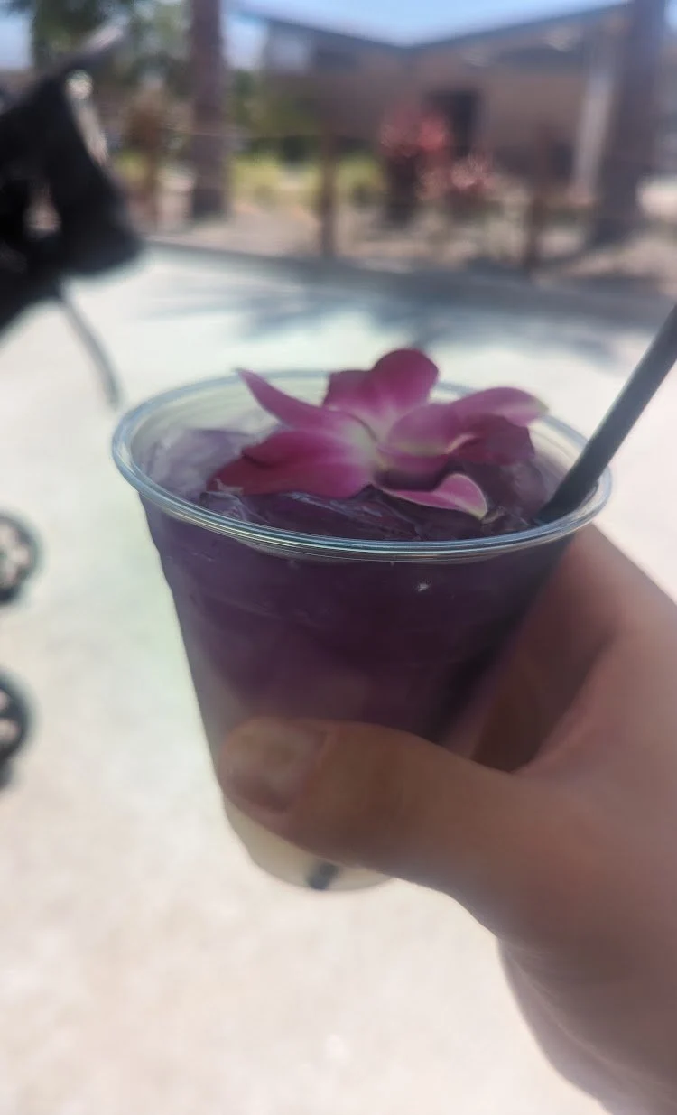 Wild Rivers Water Park: Where Thrills and Tranquility Converge in Irvine, CA — photograph 14