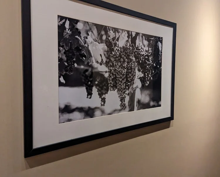 Paul Martin’s: Spectrum’s Culinary Delight — photograph 16