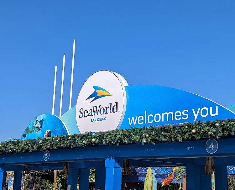 SeaWorld San Diego: Family Aquatic Adventure — photograph 19