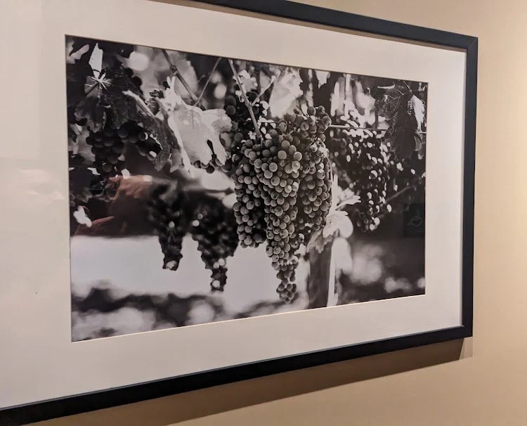 Paul Martin’s: Spectrum’s Culinary Delight — photograph 21