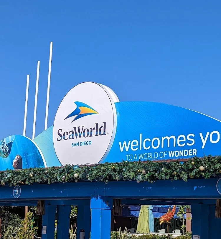 SeaWorld San Diego: Family Aquatic Adventure — photograph 24