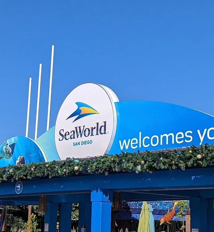 SeaWorld San Diego: Family Aquatic Adventure — photograph 25