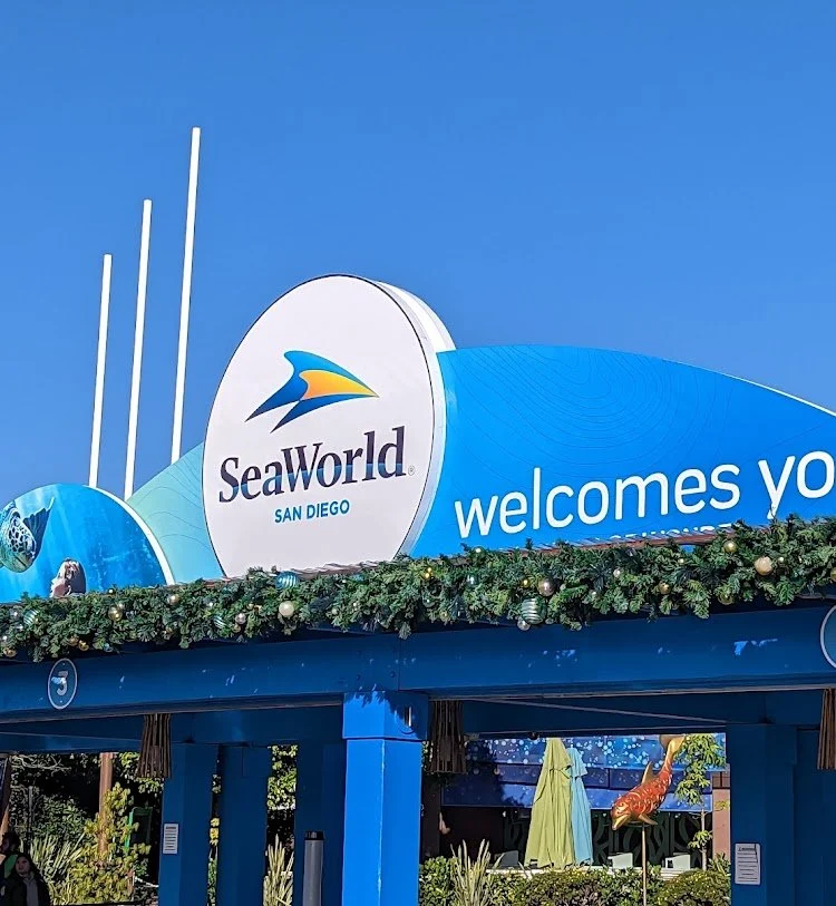 SeaWorld San Diego: Family Aquatic Adventure — photograph 22